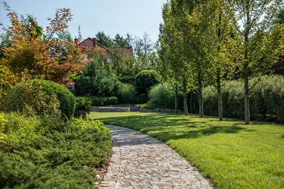 Architektura Krajobrazu Benedykt Kawęcki